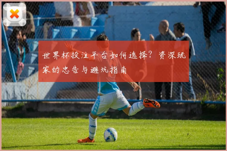 世界杯投注平台如何选择？资深玩家的忠告与避坑指南