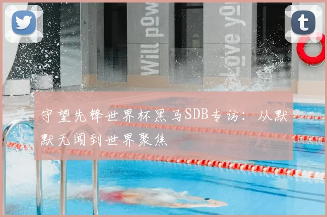 守望先锋世界杯黑马SDB专访:从默默无闻到世界聚焦