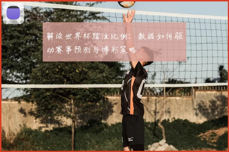 解读世界杯赌注比例:数据如何驱动赛事预测与博彩策略