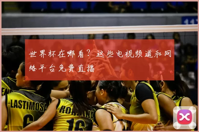 世界杯在哪看？这些电视频道和网络平台免费直播