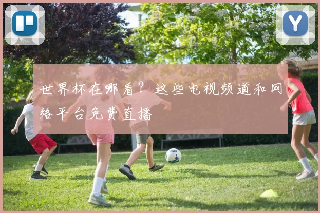 世界杯在哪看？这些电视频道和网络平台免费直播