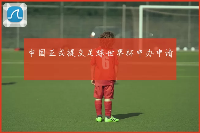 中国正式提交足球世界杯申办申请