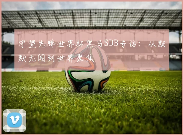 守望先锋世界杯黑马SDB专访:从默默无闻到世界聚焦