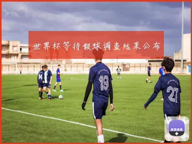 世界杯等待假球调查结果公布