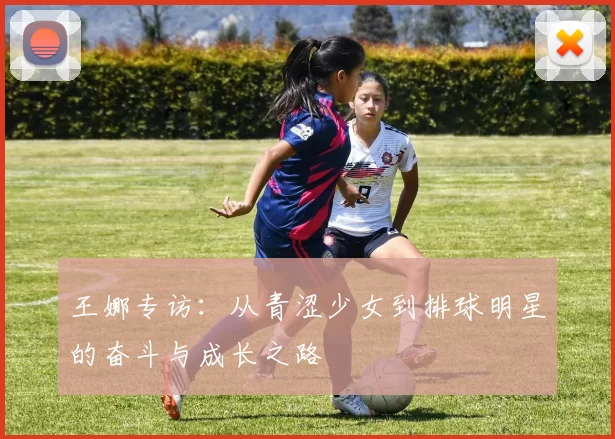 王娜专访:从青涩少女到排球明星的奋斗与成长之路