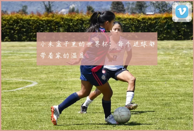 小米盒子里的世界杯：每个进球都带着家的温度