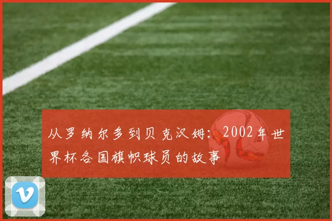 从罗纳尔多到贝克汉姆：2002年世界杯各国旗帜球员的故事