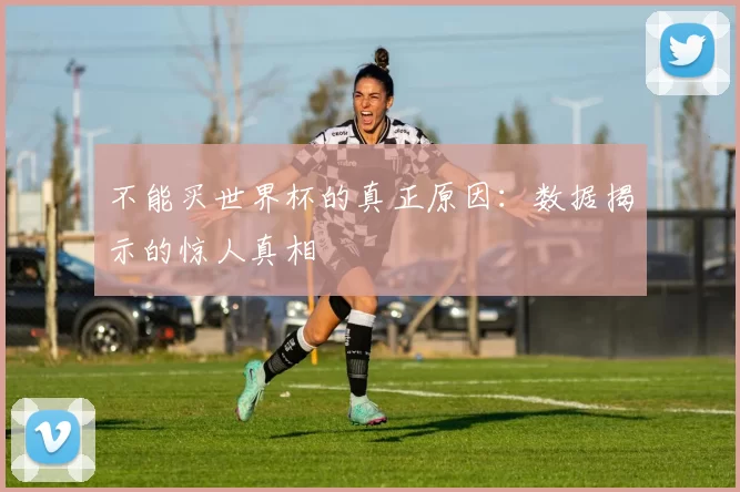 不能买世界杯的真正原因：数据揭示的惊人真相