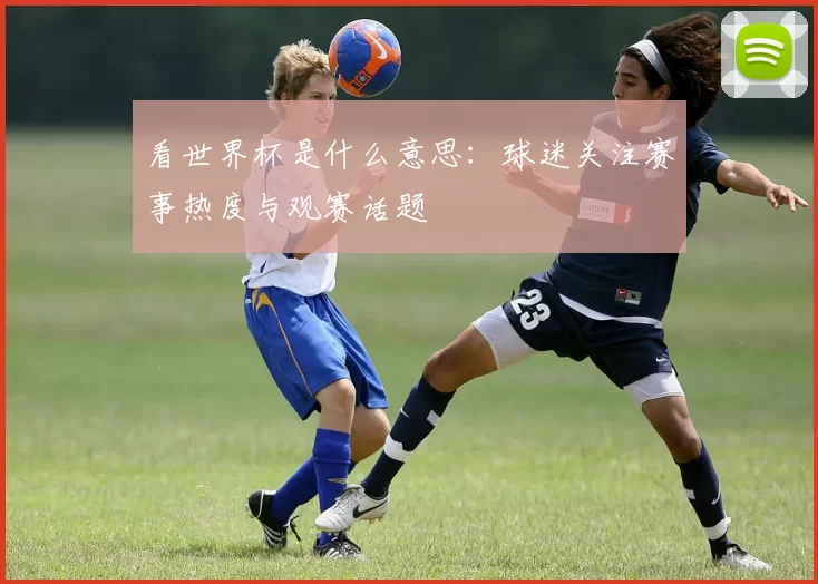 看世界杯是什么意思：球迷关注赛事热度与观赛话题