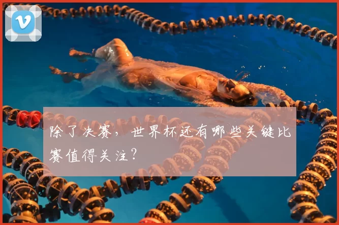 除了决赛,世界杯还有哪些关键比赛值得关注?