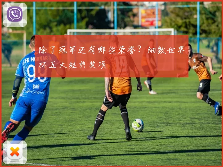除了冠军还有哪些荣誉？细数世界杯五大经典奖项