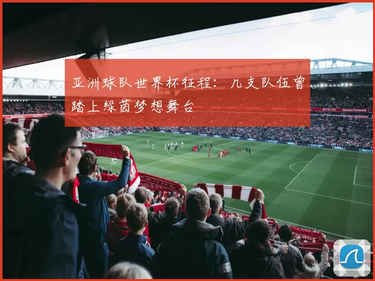 亚洲球队世界杯征程:几支队伍曾踏上绿茵梦想舞台